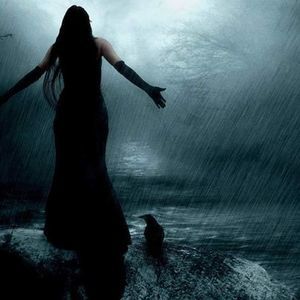 Meet your Posher, Rose lee